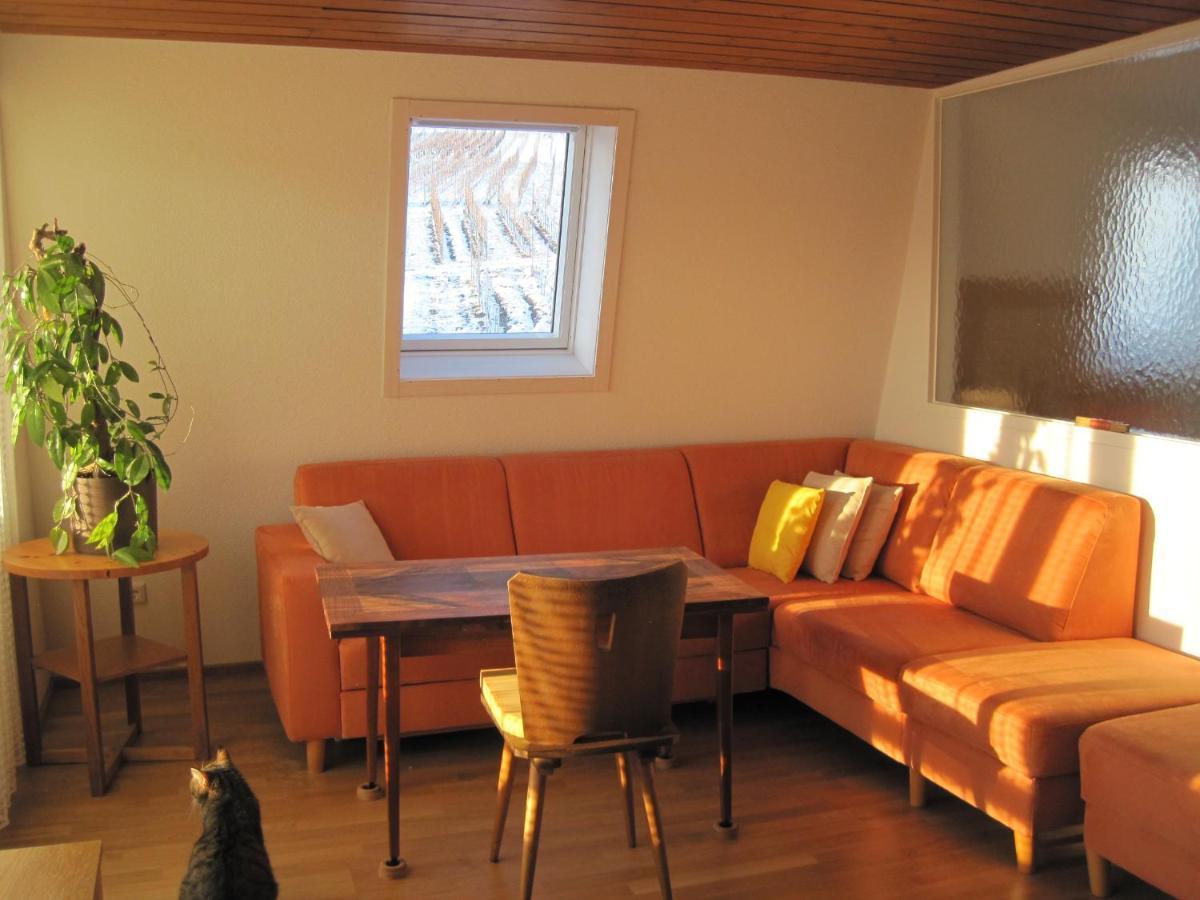 Haus Am Weinberg Erzingen Exterior foto